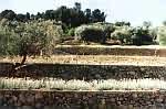 4restanques.jpg 640x424  [62381 bytes]