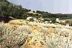 6bottes.jpg 640x427  [67730 bytes]