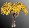 bouquet.jpg 488x480  [28951 bytes]